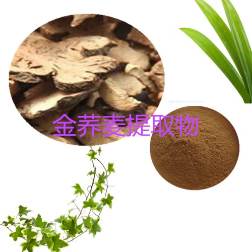 金荞麦提取物 水提 10:1  金荞麦浸膏 金荞麦速溶粉