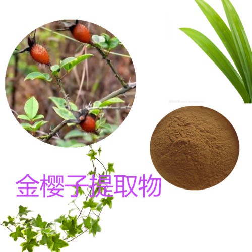 金樱子提取物 水提 10：1  金樱子速溶粉 金樱子浸膏