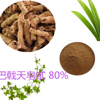 巴戟天皂甙 80%  巴戟天提取液 10:1 多规格