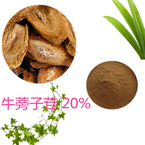 牛蒡子苷20% 牛蒡子提取液 10:1  多规格