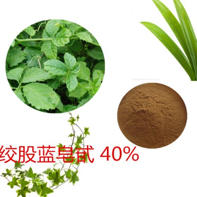 绞股蓝皂甙 80%  绞股蓝提取液 10：:1  多规格