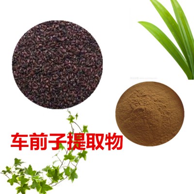 10:1  车前子提取物  水提 车前子粉 车前子浸膏
