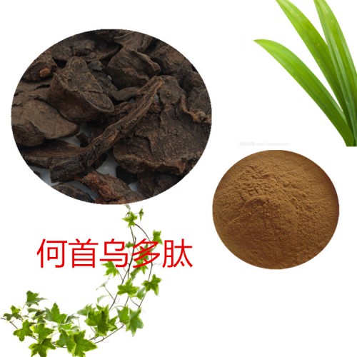 何首乌肽 90%  何首乌蛋白 何首乌小分子肽