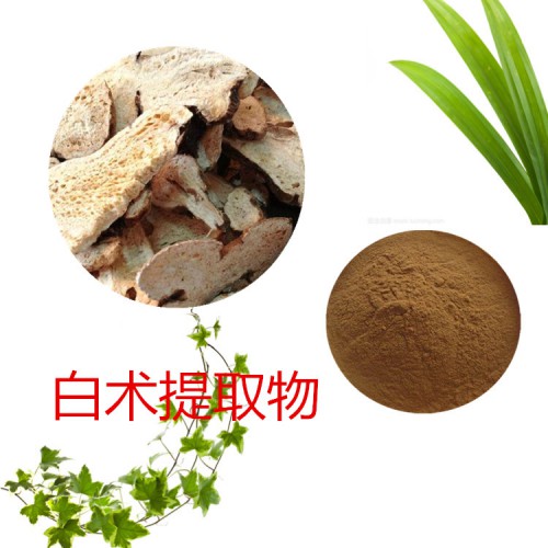 10:1  白术提取物  水提  白术粉 白术浸膏