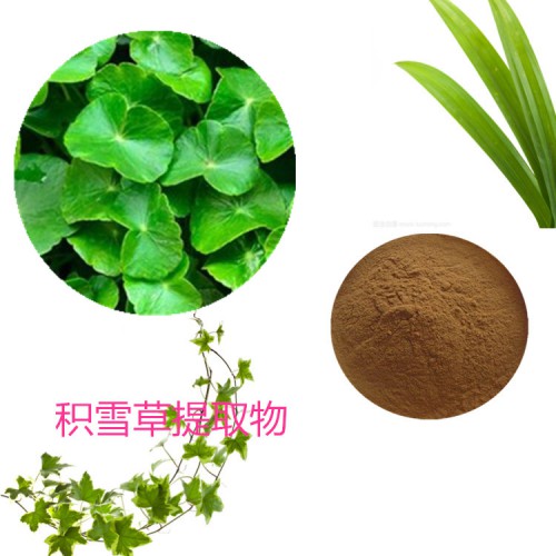 10:1 积雪草提取物  水提  积雪草粉 积雪草浸膏