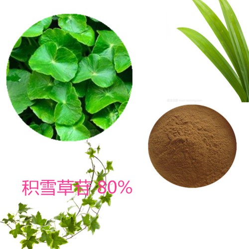 10:1 积雪草总甙 80%  积雪草提取液