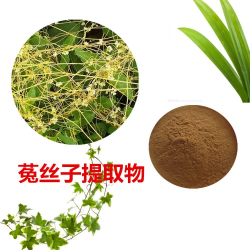 10:1 菟丝子提取物 水提 菟丝子粉  水溶
