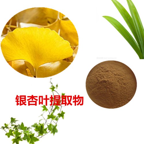 10:1 银杏叶提取物 水提 银杏叶粉 水溶