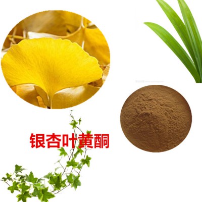 银杏叶黄酮  40%  80%  银杏叶提取液 10：1
