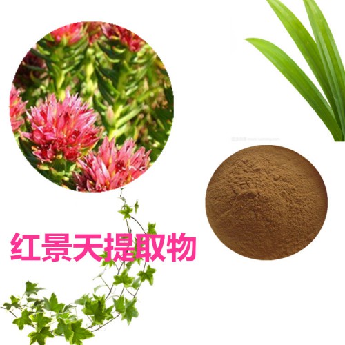 10:1  红景天提取物  水提 红景天粉 红景天浸膏