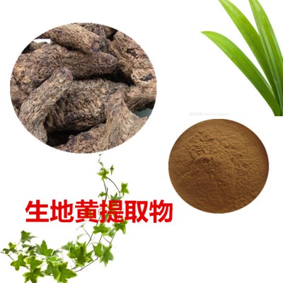 10:1  生地黄提取物  水提 生地黄粉 生地黄浸膏