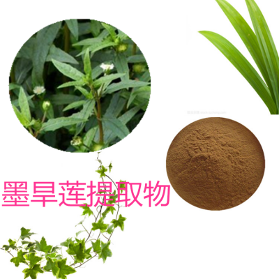 10:1 墨旱莲提取物  水提  墨旱莲粉  墨旱莲浸膏