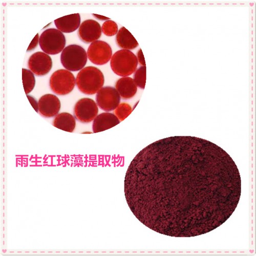10:1 雨生红球藻提取物  水提  雨生红球藻粉