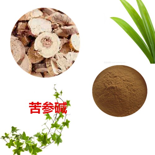 苦参碱 98% 苦参提取液 10:1  多规格