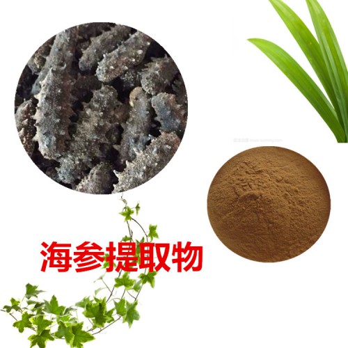 海参提取物 水提 10:1 海参速溶粉 海参浸膏
