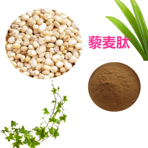 藜麦肽 90% 藜麦蛋白 藜麦低聚肽