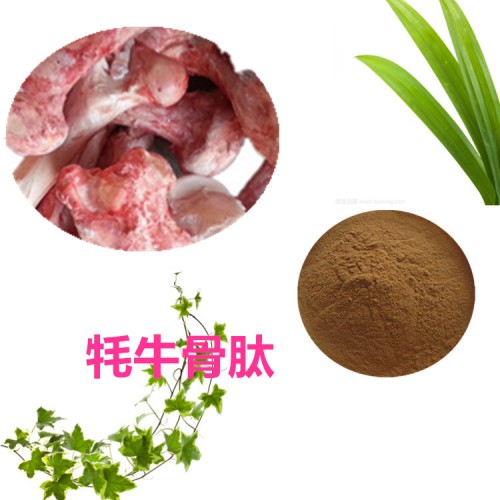 牦牛骨肽、牦牛骨胶原蛋白肽 牦牛骨蛋白
