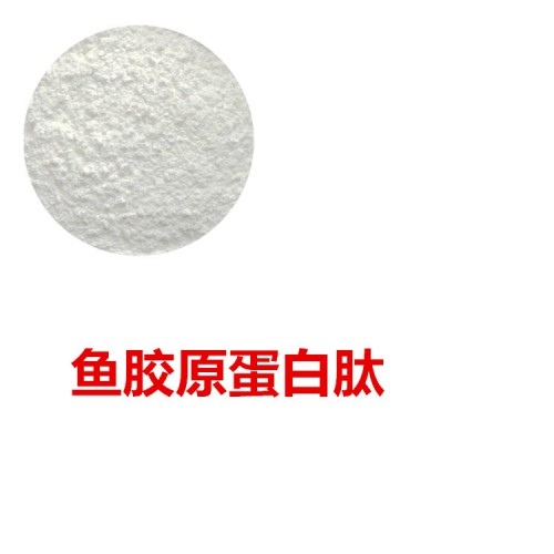 鱼胶原蛋白肽 90% 鱼胶原蛋白  鱼胶原小分子肽