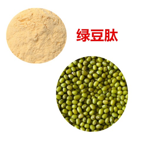 绿豆肽 90% 绿豆蛋白  绿豆小分子肽