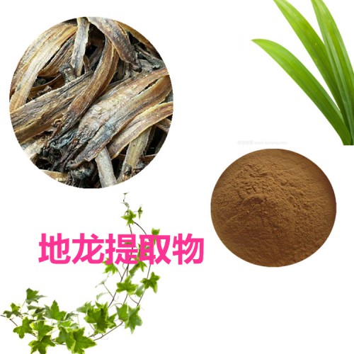 地龙提取物 水提 10:1  地龙浸膏 地龙粉