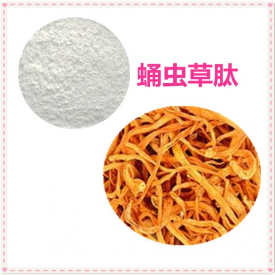 蛹虫草肽 90% 蛹虫草蛋白 蛹虫草小分子肽