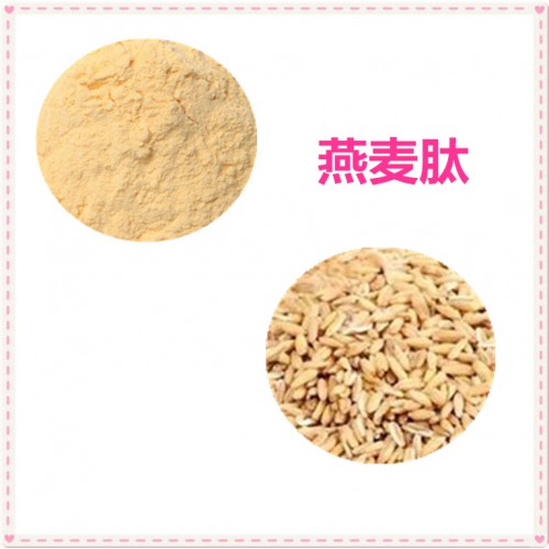 燕麦肽 90%  燕麦蛋白 燕麦小分子肽