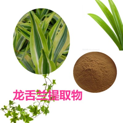 龙舌兰提取物 水提 10:1  龙舌兰粉 水溶 龙舌兰浸膏
