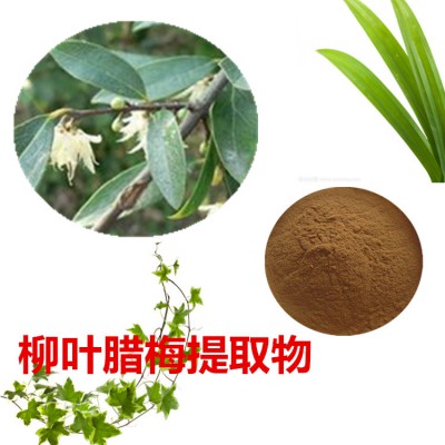 柳叶蜡梅提取物 水提 10:1  柳叶蜡梅粉 水溶