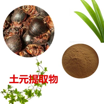 土元提取物 水提 10:1  地鳖虫粉 水溶 地鳖虫浸膏