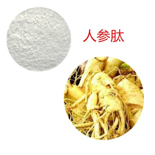 人参肽 90%  人参蛋白 人参小分子肽
