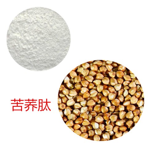 苦荞肽 90%  苦荞蛋白 苦荞低聚肽