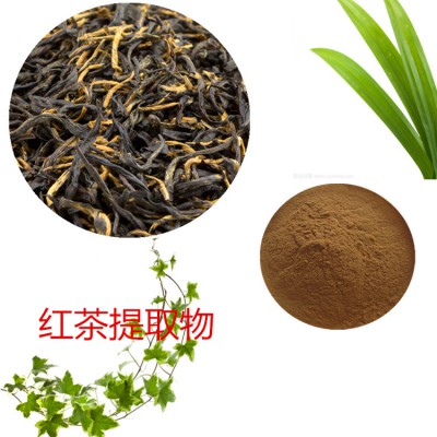 红茶提取物 水提 10:1 红茶速溶粉 红茶浸膏