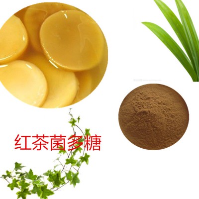 红茶菌多糖 50% 红茶菌提取物 水提 红茶菌速溶粉