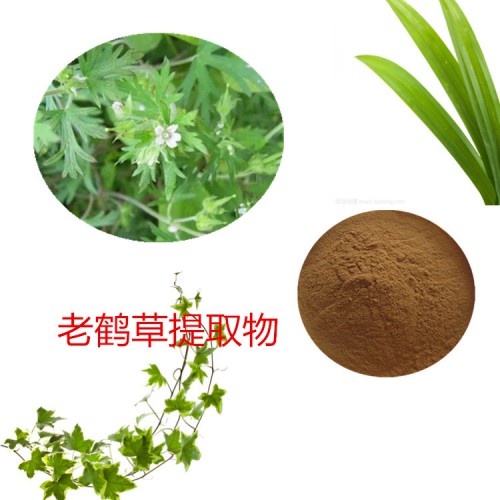 老鹳草提取物 水提 10:1 老鹳草速溶粉 老鹳草浸膏