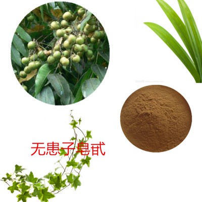 无患子皂甙 80%  无患子提取液 10:1 多规格