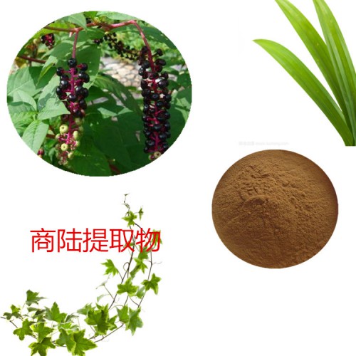 商陆提取物 水提 10:1 商陆速溶粉 商陆浸膏