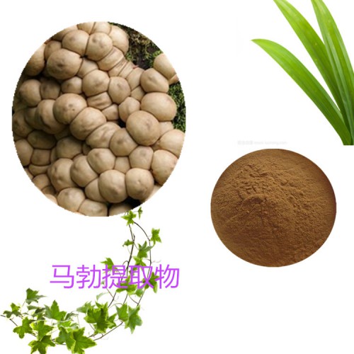 马勃提取物 水提 10:1  马勃速溶粉 马勃浸膏