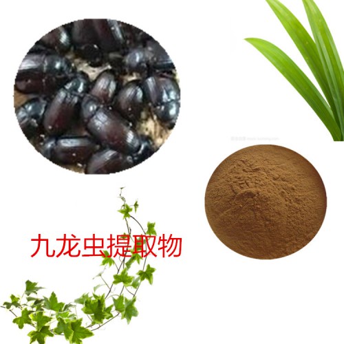 九龙虫提取物 水提 10:1  九龙虫速溶粉 九龙虫浸膏