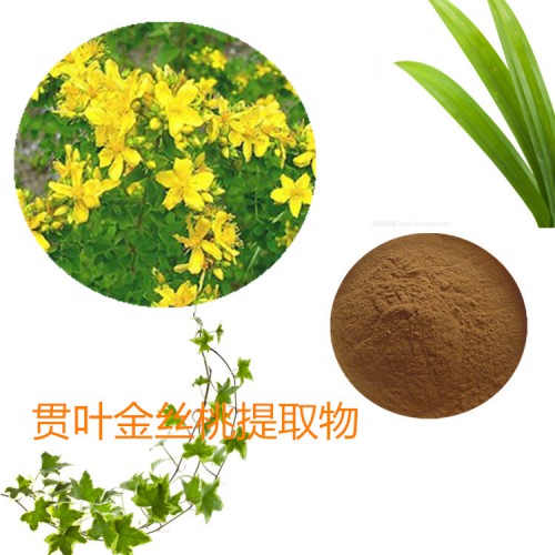 连翘提取物 水提 10:1 贯叶金丝桃速溶粉 连翘浸膏