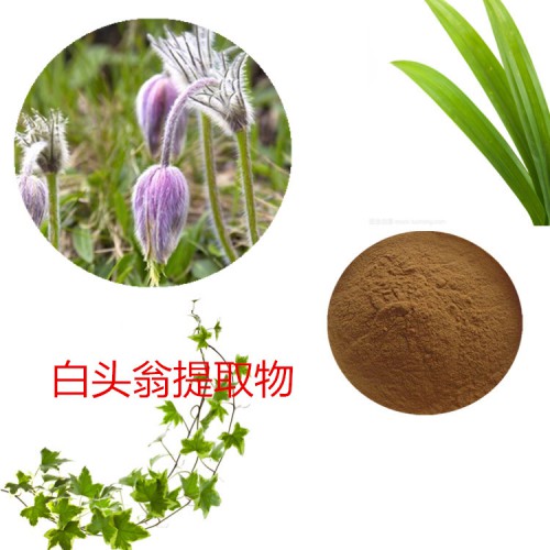 白头翁提取物 水提 10:1 白头翁速溶粉 白头翁浸膏