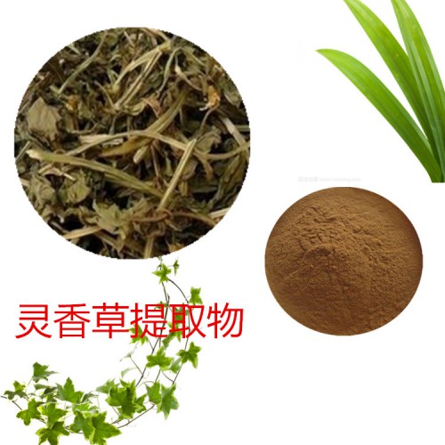 灵香草提取物 水提 10:1  灵香草速溶粉 灵香草浸膏