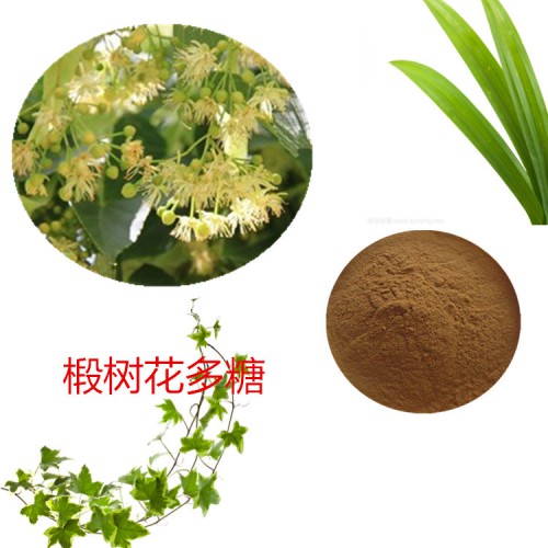 椴树花浸膏粉 椴树花提取液 多规格  椴树花多糖 30%