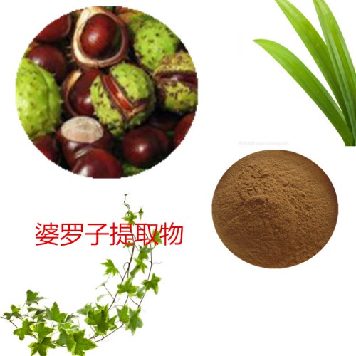 娑罗子粉 娑罗子速溶粉  娑罗子浸膏粉 娑罗子提取物