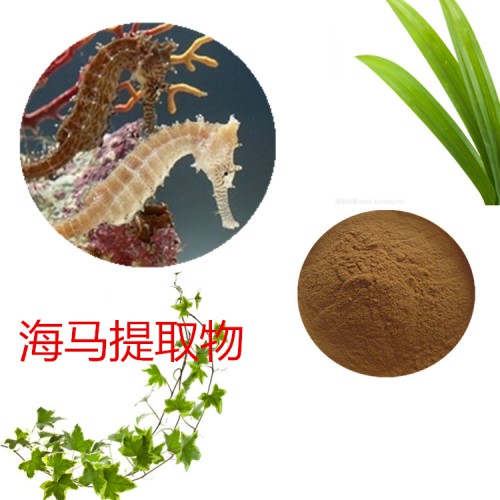 海马提取物 水提 10:1 海马速溶粉 海马浸膏