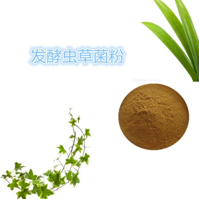 发酵虫草提取物 发酵虫草速溶粉 发酵虫草浸膏 发酵虫草粉