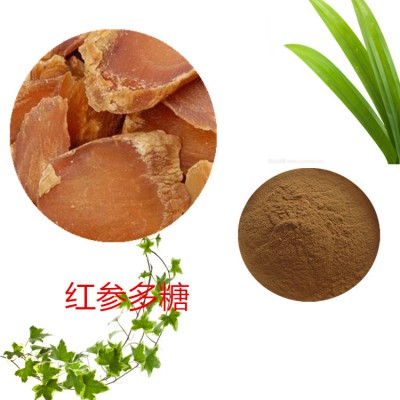 红参多糖 30%  红参粉 红参浸膏粉 红参提取液