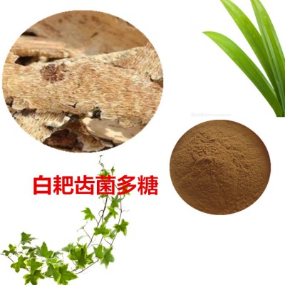 白耙齿菌多糖 50%     白耙齿菌粉 白耙齿菌提取液