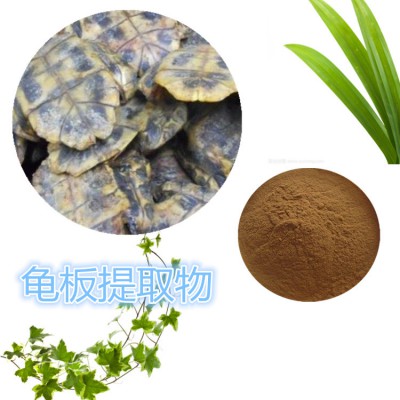 龟板提取物 水提  龟板速溶粉 龟板浸膏 龟板粉