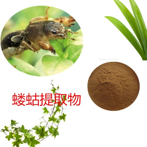 蝼蛄提取物 水提  蝼蛄速溶粉 蝼蛄浸膏 蝼蛄粉