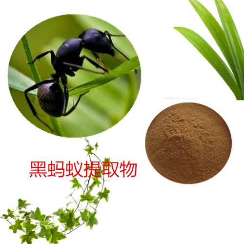 黑蚂蚁提取物 水提   黑蚂蚁速溶粉 黑蚂蚁浸膏 黑蚂蚁粉